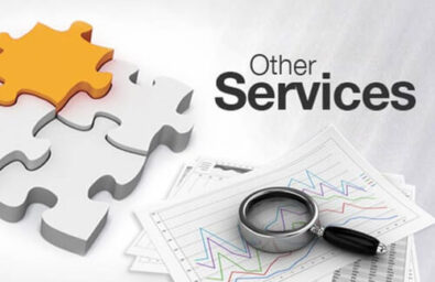 Other-Services Other-Services